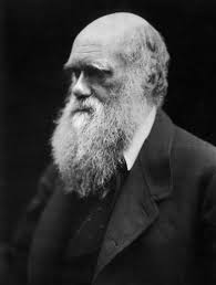 Darwin photo